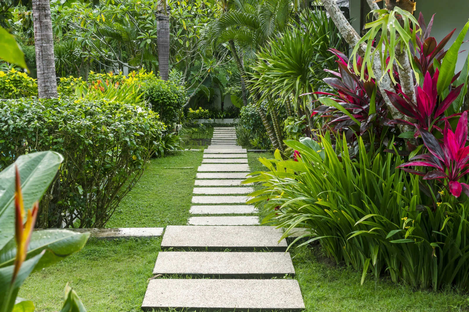 Caminho de concreto entre plantas e palmeiras em jardim tropical.
